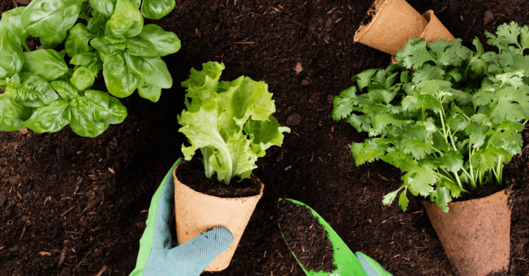 What Gardening Can Teach You About Results-Driven Marketing